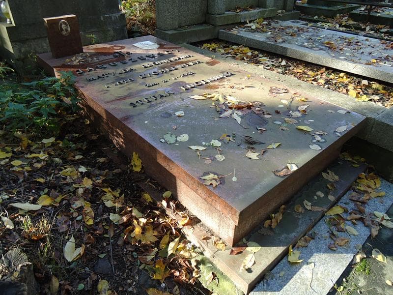 Zdjęcie grobu Stefan Eugeniusz Januszewski (1)