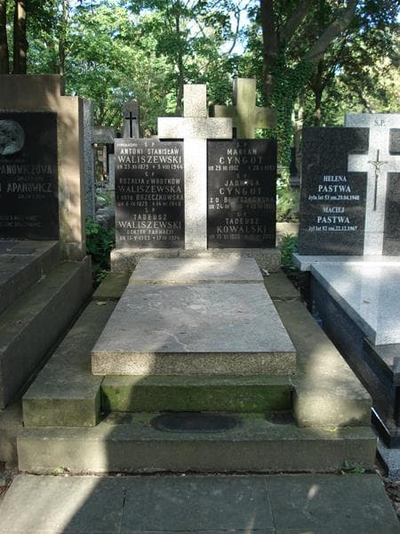 Zdjęcie grobu: Tadeusz Waliszewski
