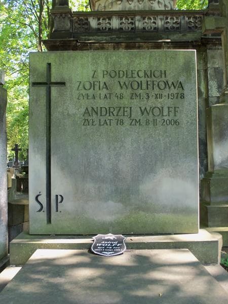 Zdjęcie grobu Zofia Wolffowa (2)