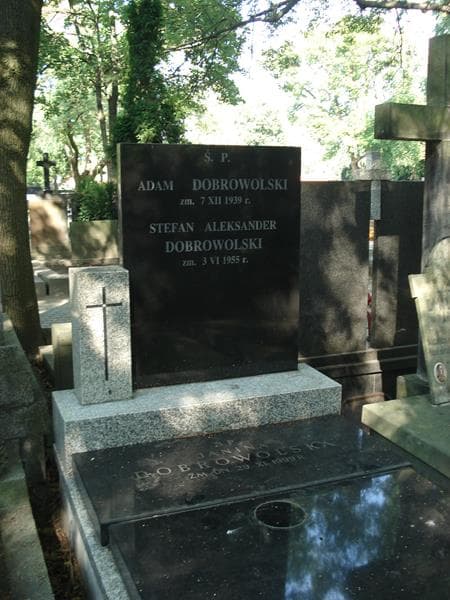 Zdjęcie grobu Janina Dobrowolska (2)