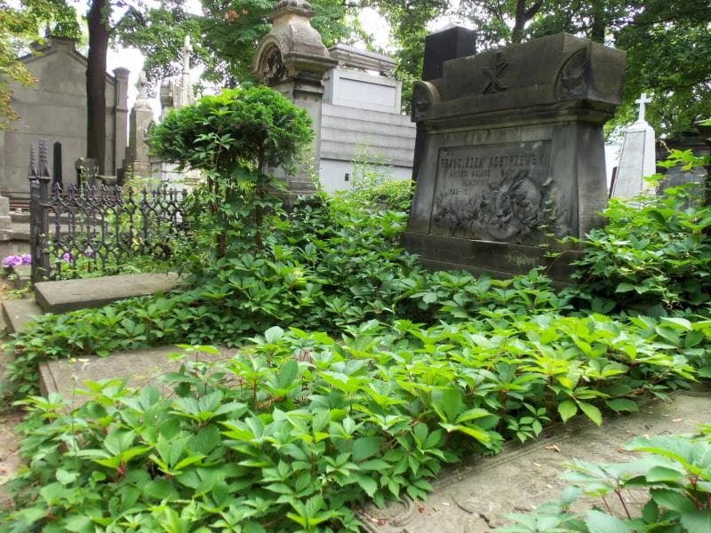 Zdjęcie grobu Bronisław Żukowski (1)