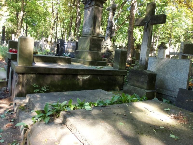 Zdjęcie grobu Elżbieta Oppeln Bronikowska (1)