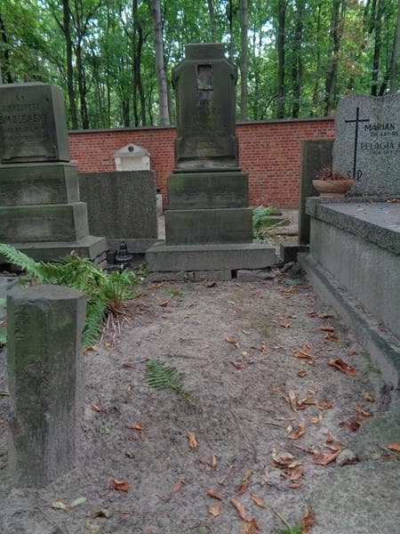 Zdjęcie grobu Marya Wolska (1)