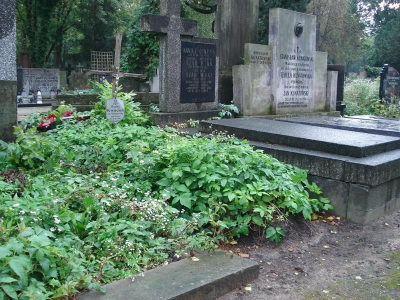 Zdjęcie grobu Regina Kwiecień (1)