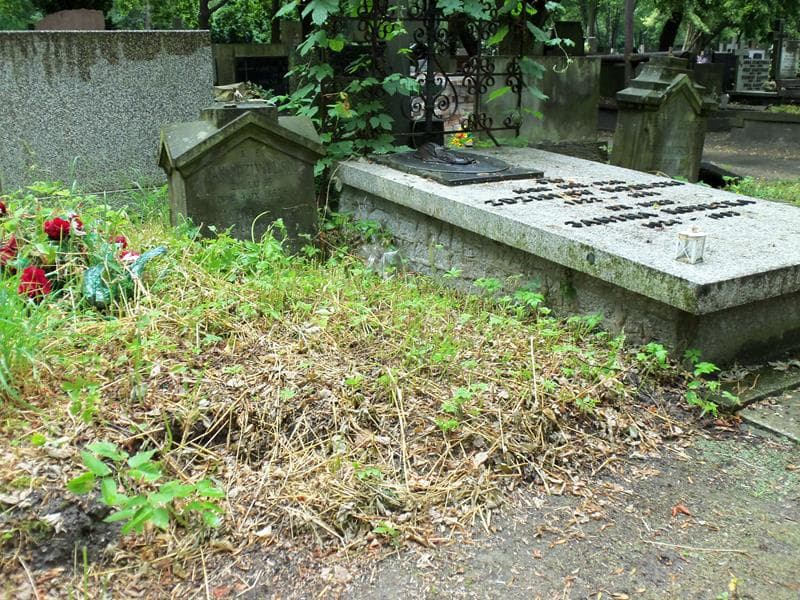 Zdjęcie grobu Franciszka Dziwulska (1)