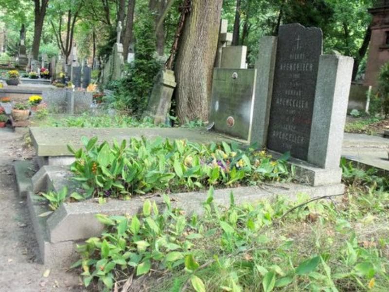 Zdjęcie grobu Jerzy Apenceller (1)