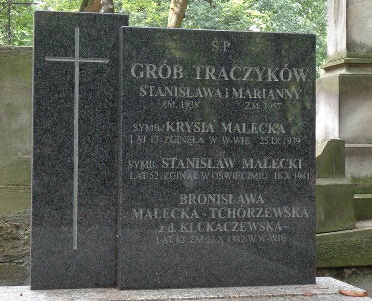 Zdjęcie grobu Stanisław Traczyk (2)