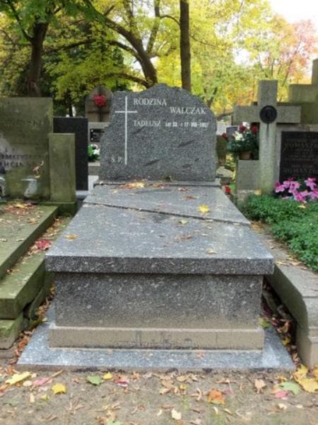 Zdjęcie grobu: Tadeusz Walczak