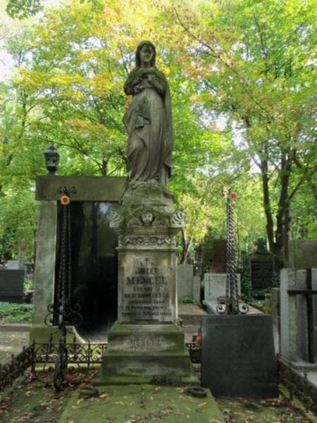 Zdjęcie grobu Władysław Kubacki (2)