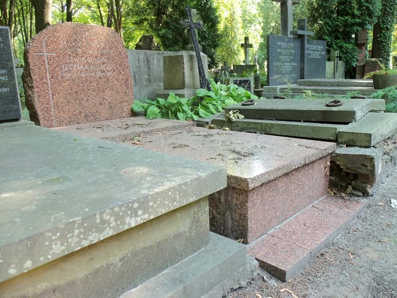Zdjęcie grobu Stanisława Domańska (1)