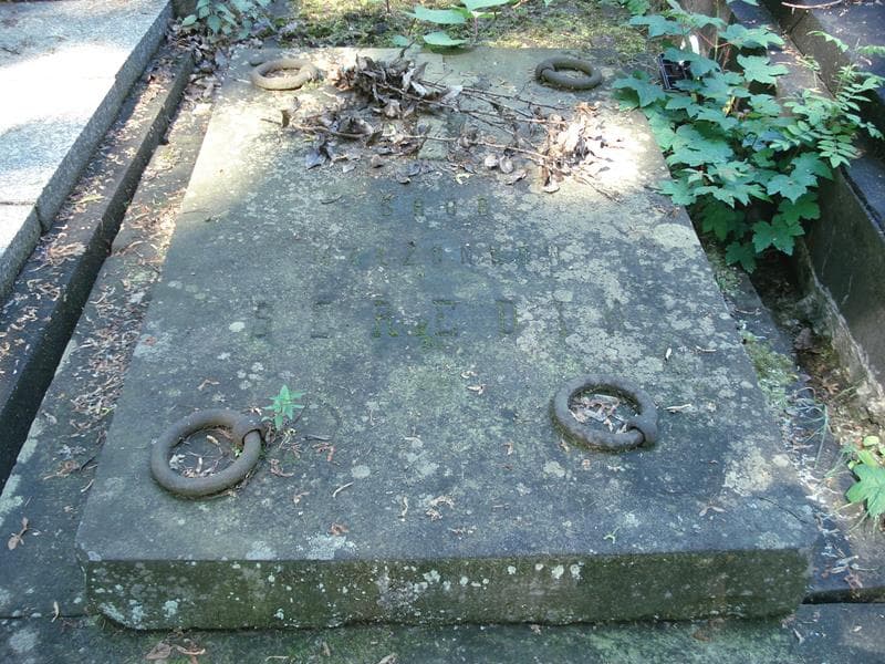 Zdjęcie grobu Seredin (1)