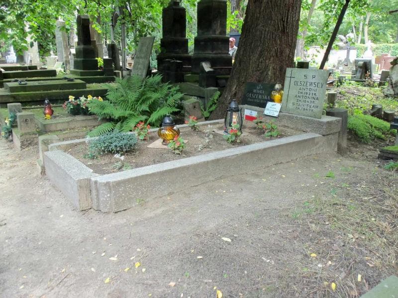 Zdjęcie grobu Stanisław Olszewski (1)