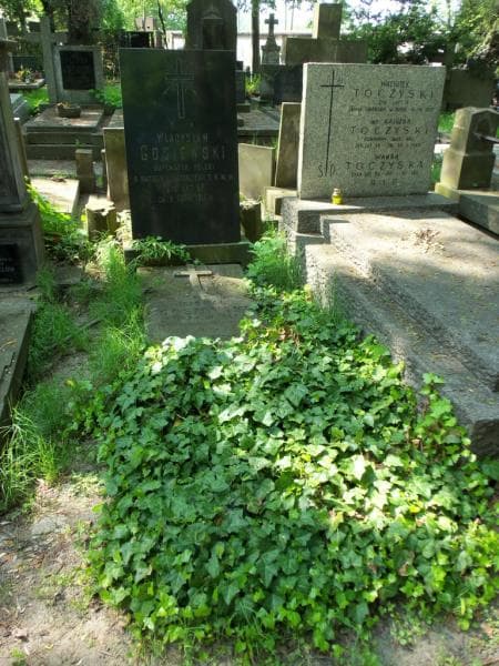 Zdjęcie grobu: Władysław Gosiewski