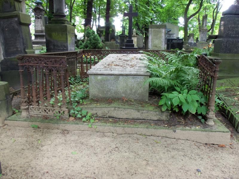 Zdjęcie grobu: Walerja Dębicka