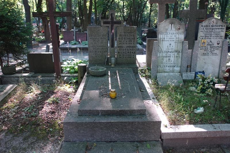 Zdjęcie grobu: Aleksander Dedeszko - Wierciński