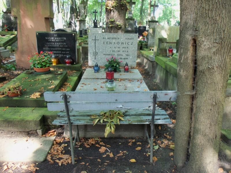 Zdjęcie grobu: Wojciech Ignacy Lewkowicz