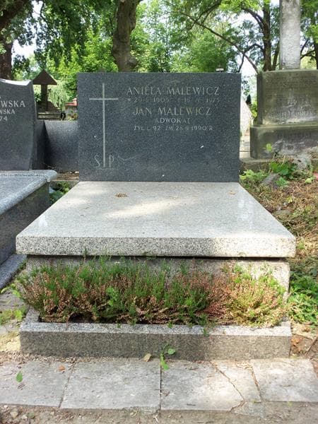 Zdjęcie grobu: Aniela Malewicz