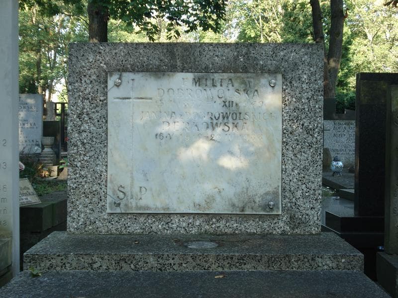 Zdjęcie grobu Janina Perkowska (2)