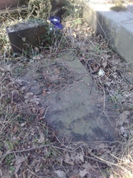 Zdjęcie grobu Rozalia Rozen (1)