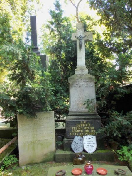 Zdjęcie grobu Henryk Dębicki (2)