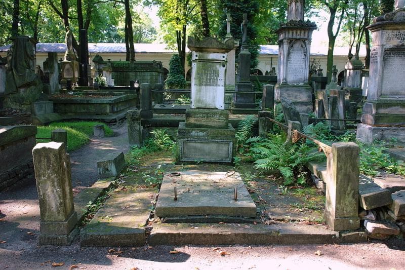 Zdjęcie grobu Julian Przezdziecki (1)