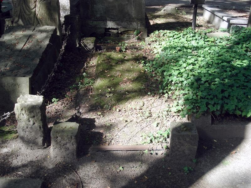 Zdjęcie grobu Franciszek Jankowski (1)