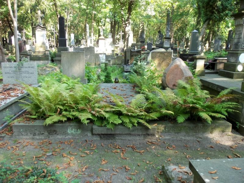 Zdjęcie grobu: Jan Chudzyński