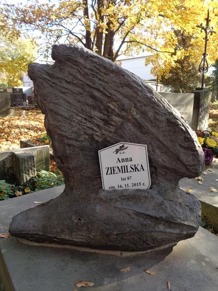 Zdjęcie grobu Alberta Baderkowa (2)