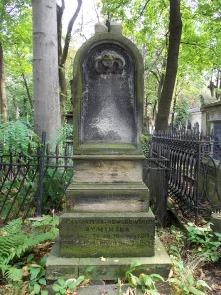 Zdjęcie grobu Ignacy Dymiński (2)