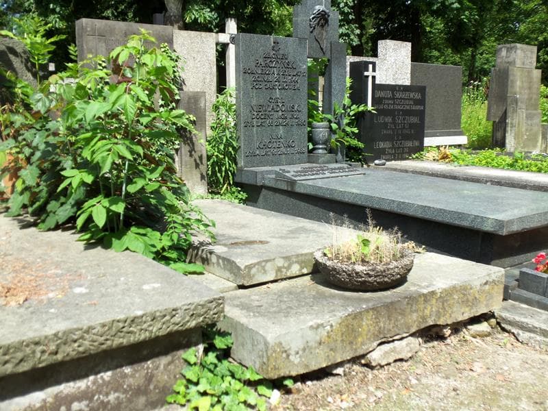 Zdjęcie grobu Ludwika Nawakowska (1)