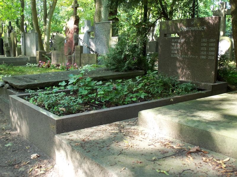 Zdjęcie grobu Władysław Dobrowolski (1)