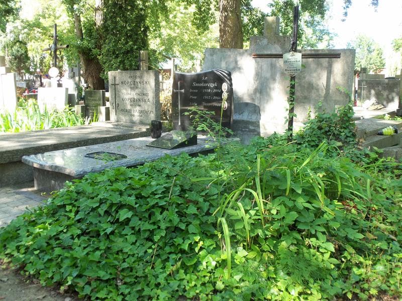 Zdjęcie grobu Czesław Howorka (1)