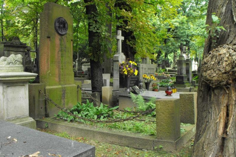 Zdjęcie grobu Walerja Trojanowska (1)