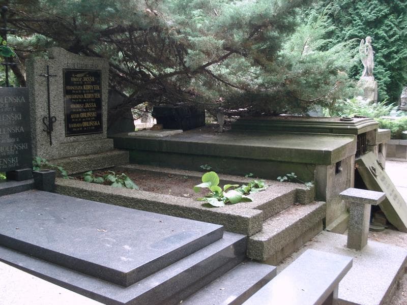 Zdjęcie grobu: Arkadiusz Jassa