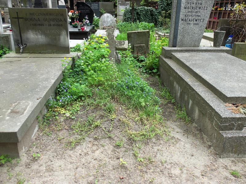 Zdjęcie grobu: Józef Leśniewski