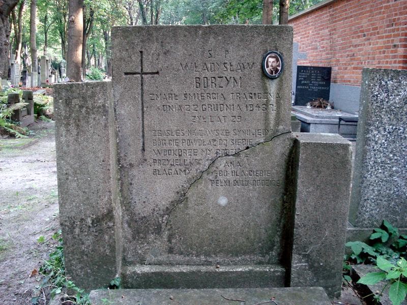 Zdjęcie grobu Władysław Borzym (2)