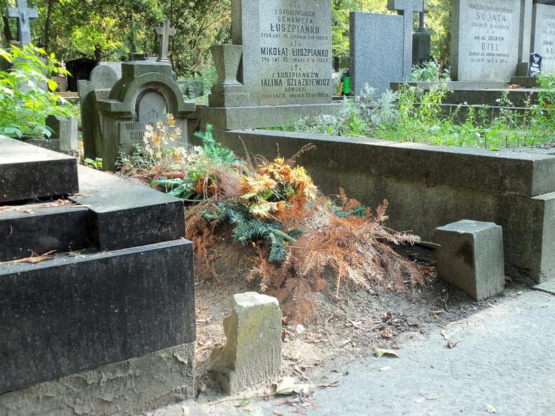 Zdjęcie grobu Julian Dublaszewski (1)