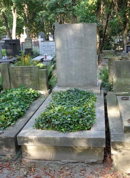 Zdjęcie grobu Jerzy Wojciech Banachiewicz (1)
