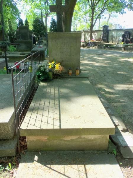 Zdjęcie grobu: Aniela Jeleńska