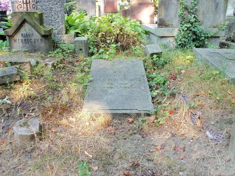 Zdjęcie grobu: Anna Głombiowska