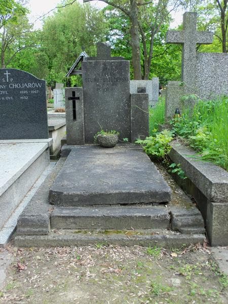 Zdjęcie grobu: Wacław Belina-Brzozowski