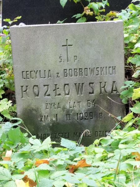 Zdjęcie grobu Cecylja Kozłowska (2)