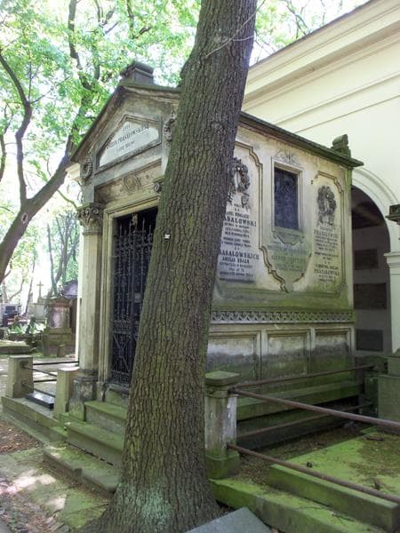 Zdjęcie grobu Amelja Braun (2)