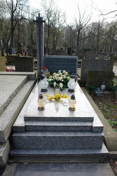 Zdjęcie grobu: Aleksander Januszkiewicz