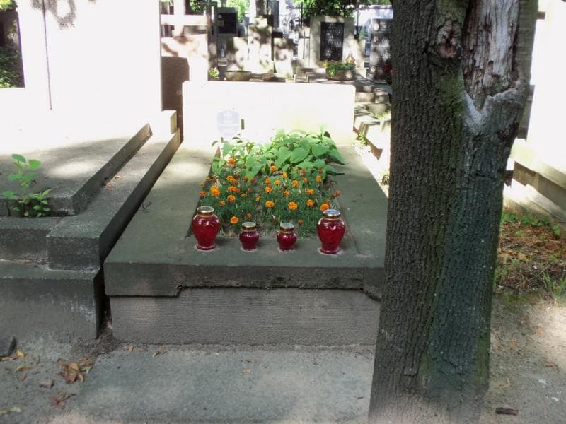 Zdjęcie grobu Władysław Tomaszewski (1)