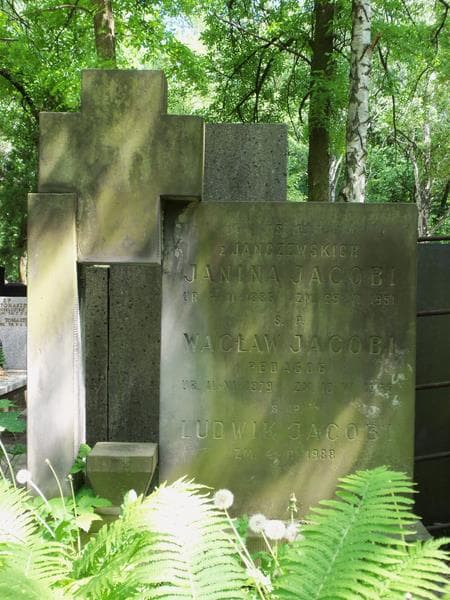 Zdjęcie grobu Ludwik Jacobi (2)