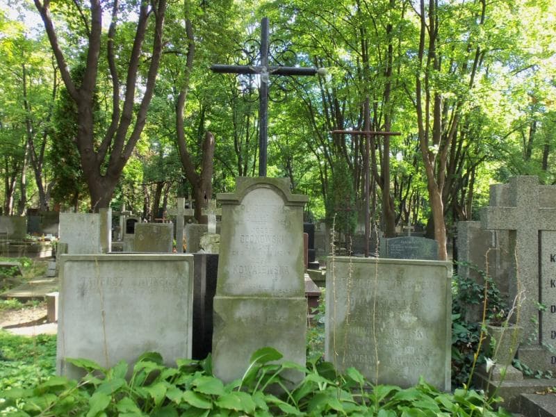 Zdjęcie grobu Wiktor Plaskowski (2)