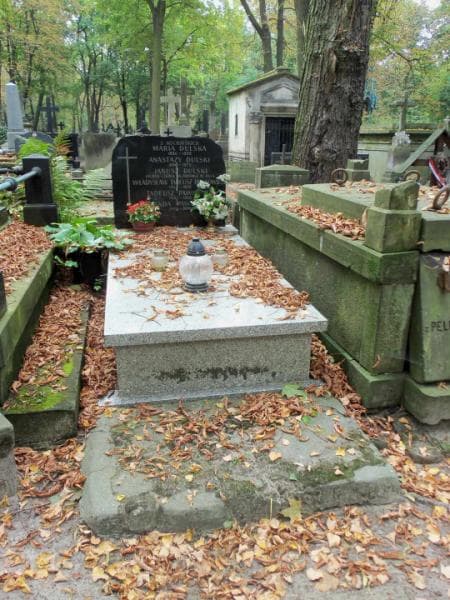 Zdjęcie grobu: Tadeusz Pawłowicz