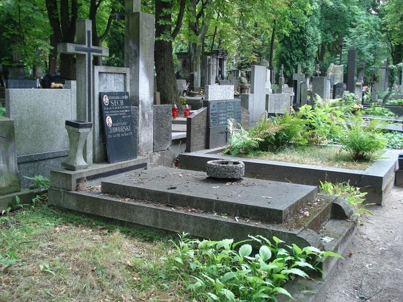 Zdjęcie grobu: Władysław Jaworski
