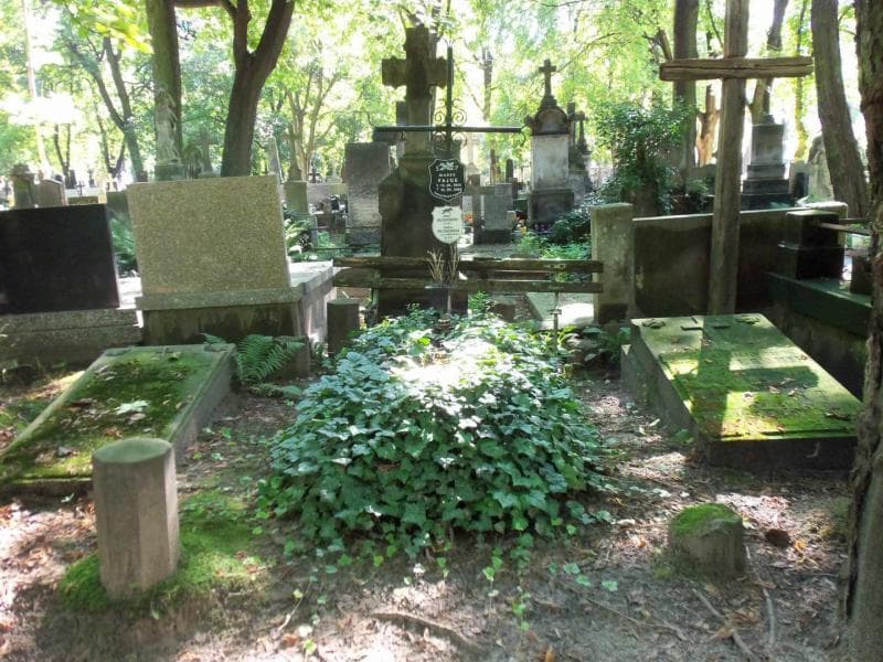 Zdjęcie grobu: Józef Włodkowski